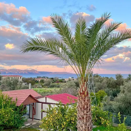 Limone No 3 * ارغاكه