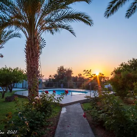 Limone No 3 * ارغاكه