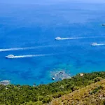 Limone No 3
