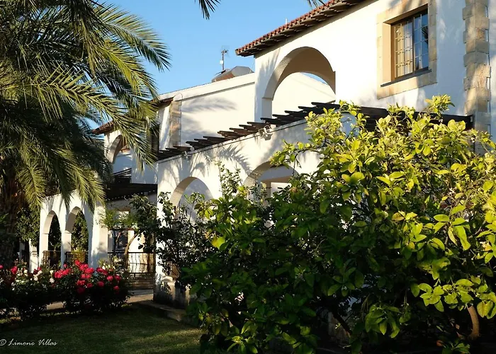 Limone No 3 アルガカ