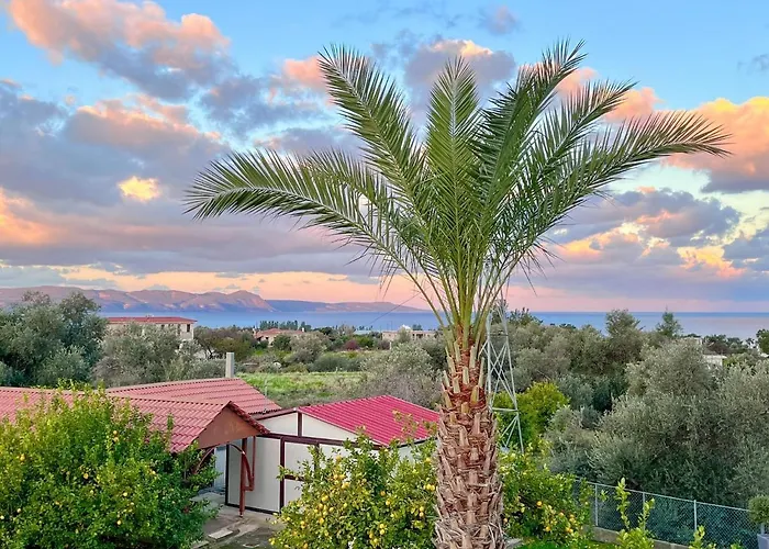 Limone No 3 * Argaka