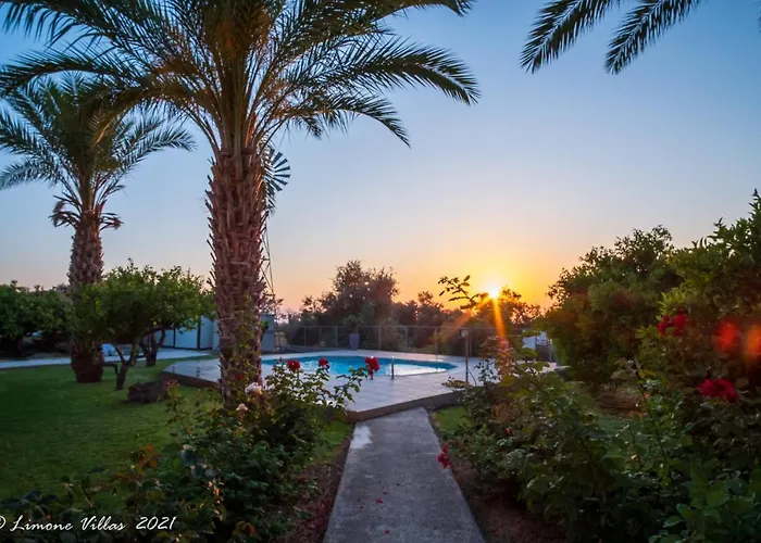 Limone No 3 * アルガカ